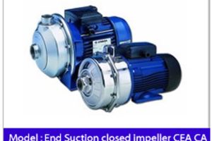 End-Suction-Closed-Impeller-CEA-CA.jpg