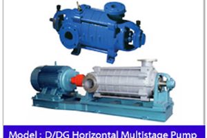 Horizontal-Multistage-Pump-DDG.jpg