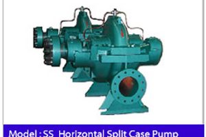 Horizontal-Split-Case-Pump-SS.jpg