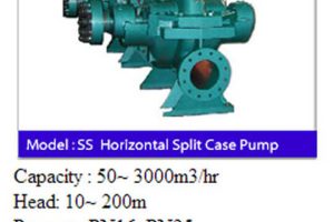 Horizontal-Split-Case-Pump-SS_2.jpg