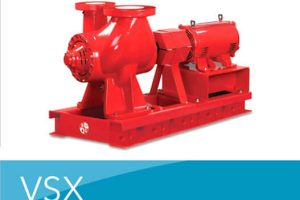 Series-VSX-VSC-VSX-VSCS-VSX-VSH-Double-Suction-Split-Case-Pump.jpg