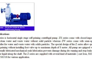 Stainless-Steel-Self-Priming-Pump-ZX-ZW_2.jpg