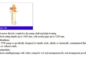 Vertical-Chemical-Pump-TNP-Up-to-1600mn_2.jpg