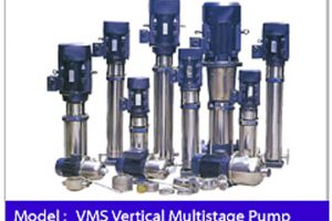 Vertical-Multistage-Pump-10VMS.jpg