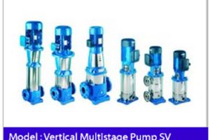 Vertical-Multistage-Pump-SV.jpg